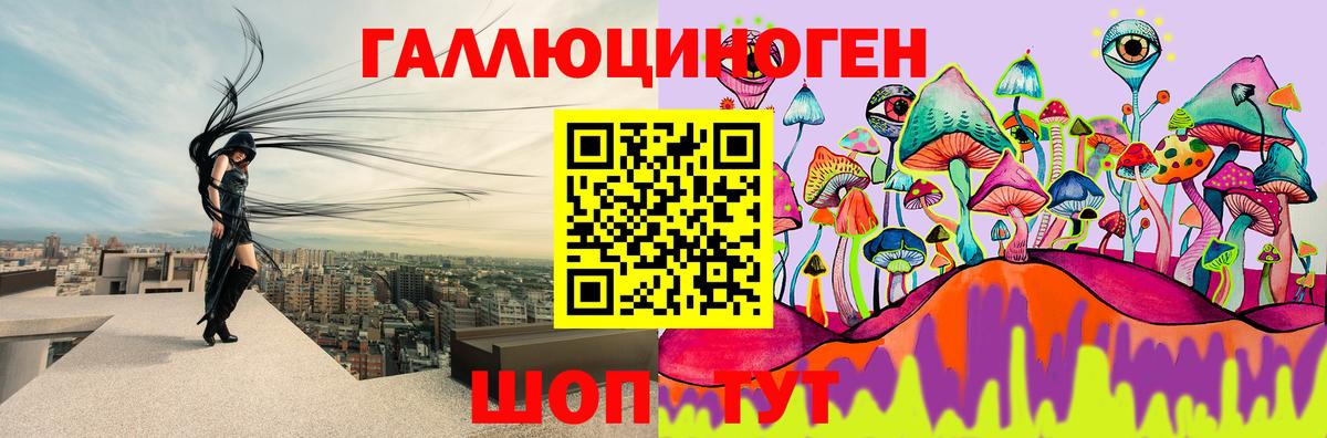 Знаменск  Псилоцибиновые грибы Magic Shrooms  Псилоцибиновые грибы Magic Shrooms  Вход с VPN 